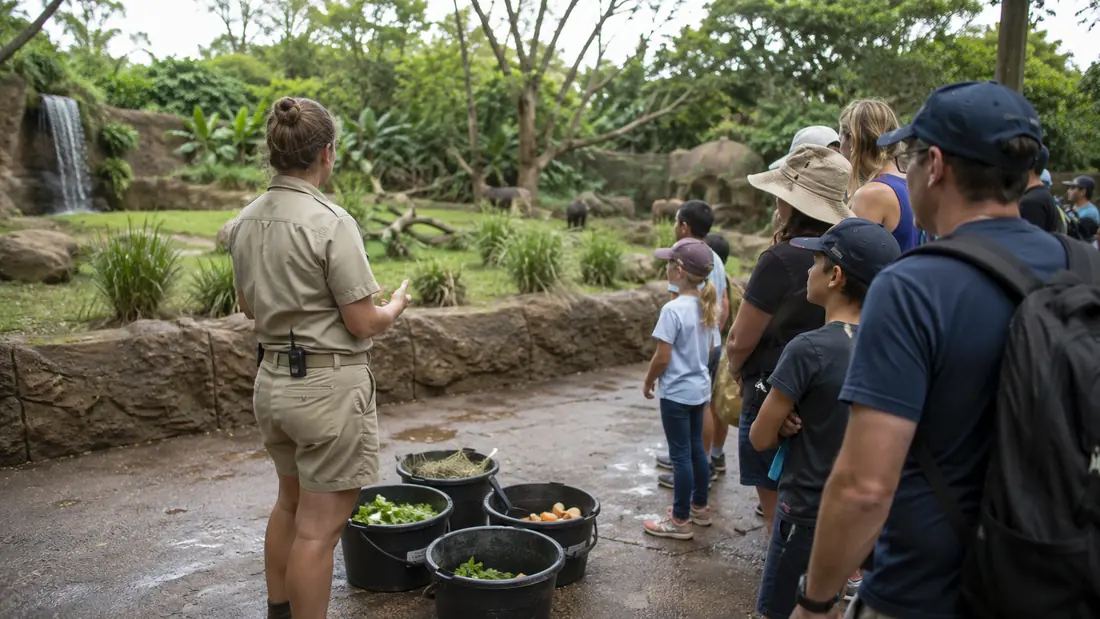 Expérience pédagogique de soigneur d’un jour dans un parc zoologique